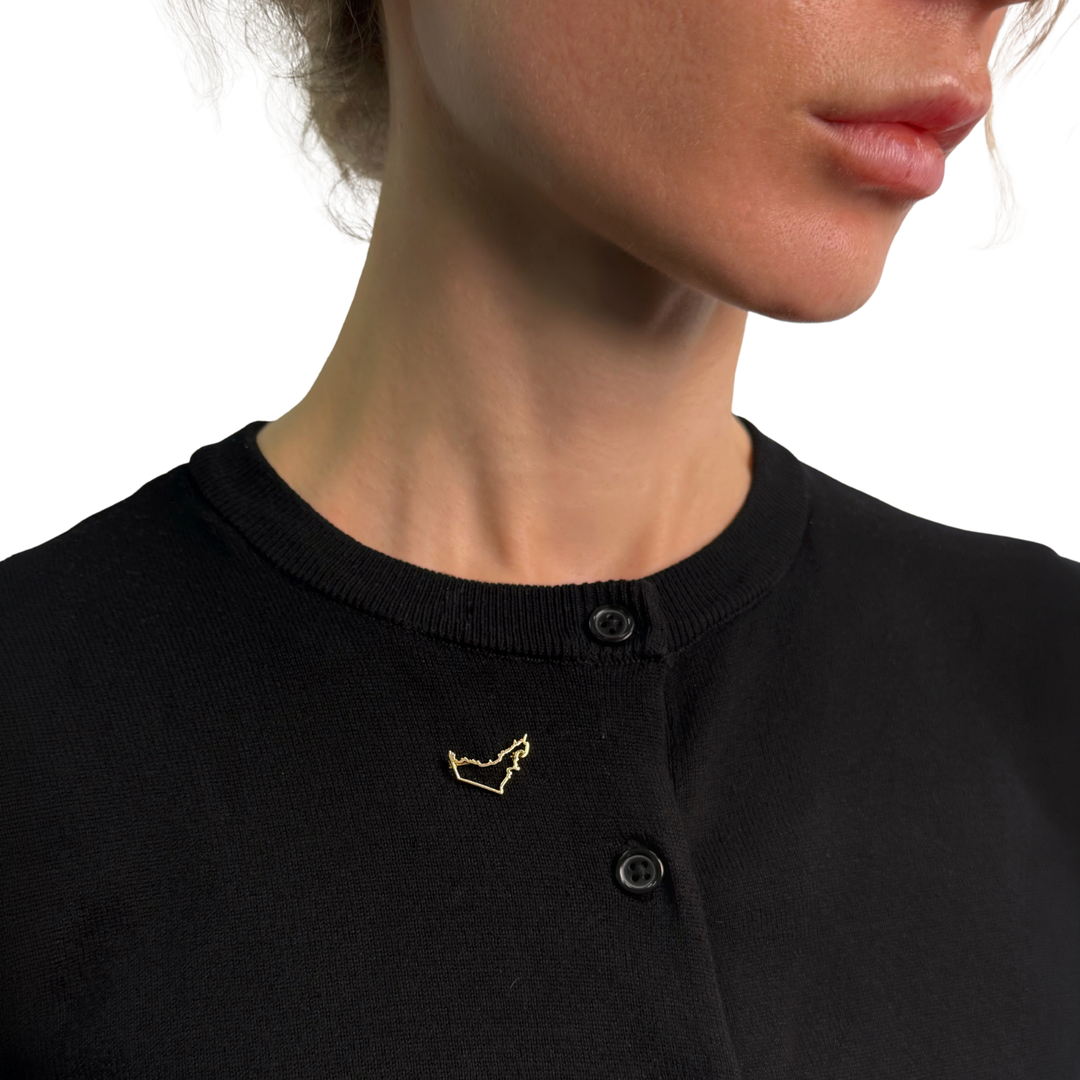 Plain Gold UAE Map Brooch
