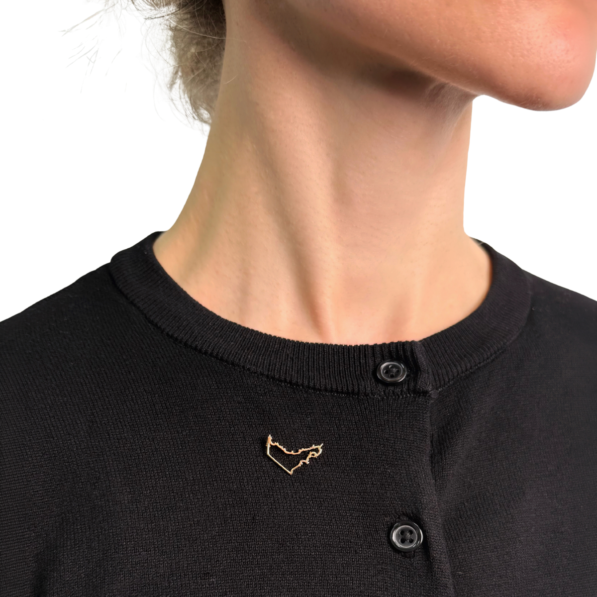 Plain gold uae map brooch